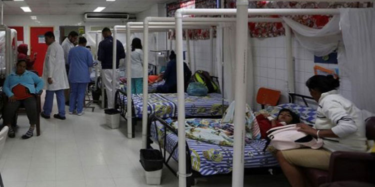 Islas de la Bahía, Francisco Morazán y El Paraíso en epidemia por dengue