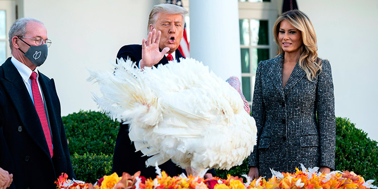 Trump indulta al pavo de Acción de Gracias mientras Biden presenta su Gabinete