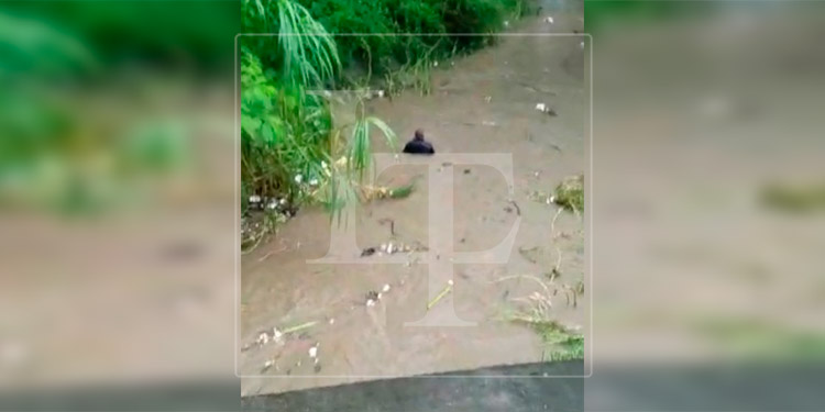 Hombre escapa de la muerte tras ser arrastrado por quebrada en Tela (Video)