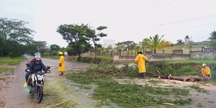 Carreteras obstruidas y desborde de quebradas se registran en El Paraíso (Video)