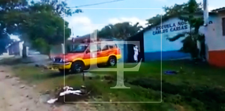 Enjambre de abejas africanizadas atacan a damnificados en Ocotepeque