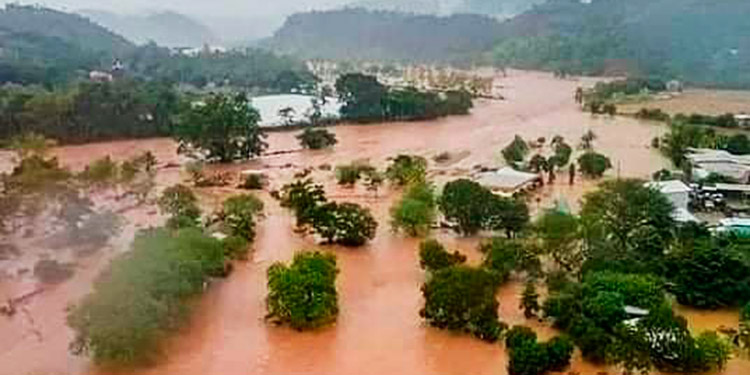 Experta del ICF: políticas forestales y de ordenamiento territorial evitarán más inundaciones