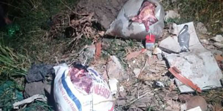 Hallan destazadero de caballos en Mateo