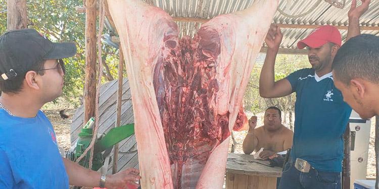 Desarrollo Económico: 10 mil salarios mínimos a los que le aumenten a la carne de cerdo