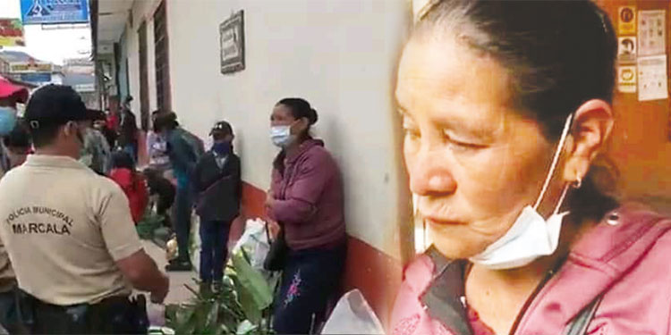 Le decomisan orquídeas silvestres a campeña