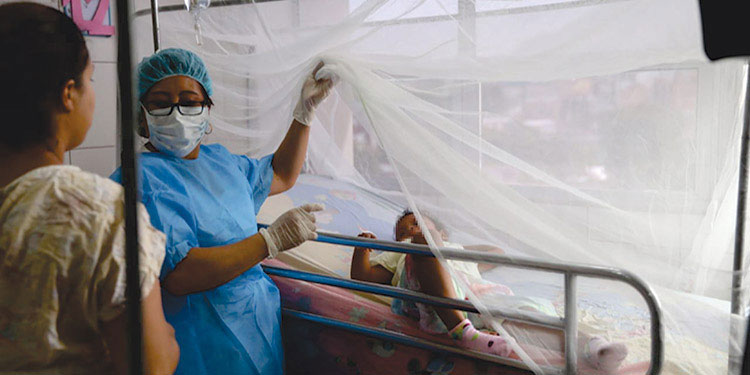 Salud emite alerta roja en ocho departamentos por aumento de casos de dengue