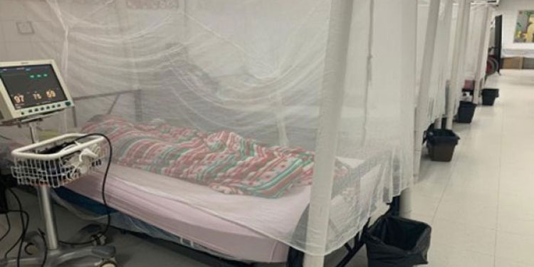Salud reporta 229 casos de dengue grave