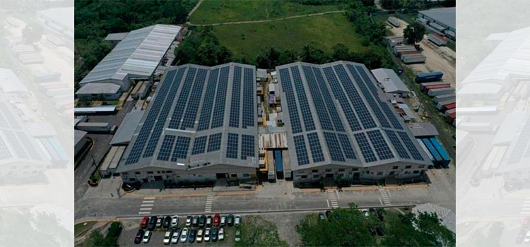 Empresa sampedrana entre las compañías comprometidas con el cambio climático