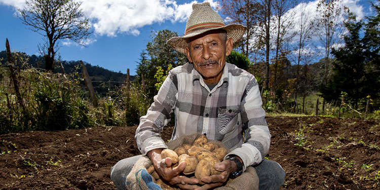 Productores del corredor seco aplican tecnologías adaptativas