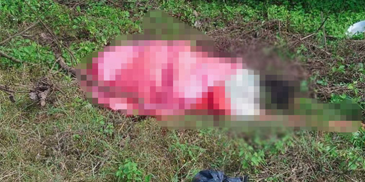 Ultimadas encuentran a mujer y una menor