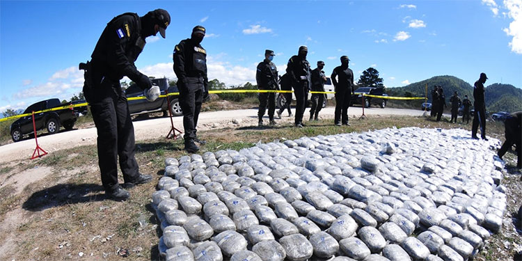 Incinerados 300 kilos de “coca”