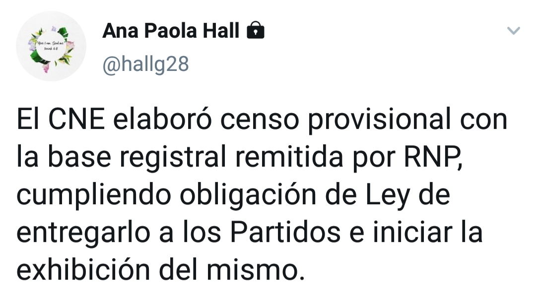 Presidenta del CNE señala al RNP por inconsistencias en su base registral