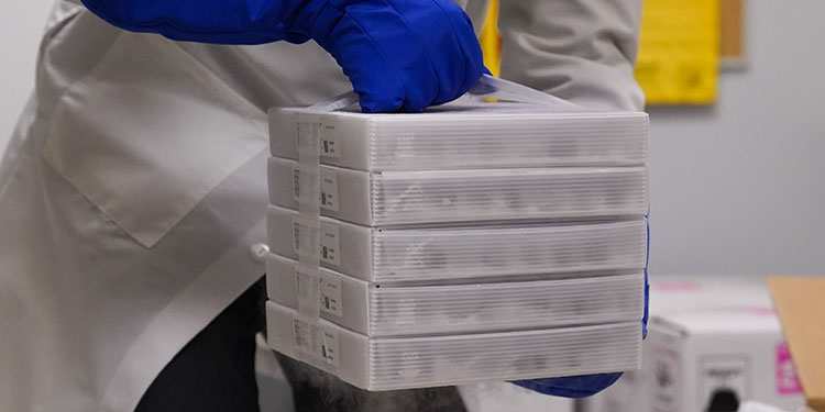 Pfizer negocia otros 100 millones de dosis con EE.UU.