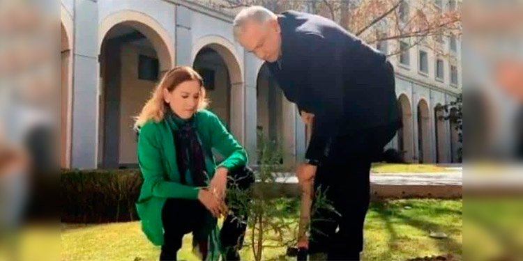 Presidente de México planta un árbol en honor a las victimas del Covid-19