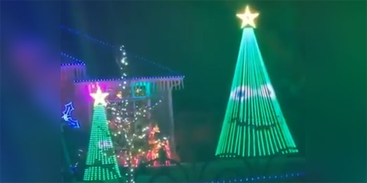 Curioso video de dos árboles de Navidad hablando causa furor en las redes