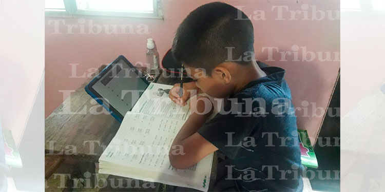 Ministro de Educación: Retorno a clases sería presencial y virtual   