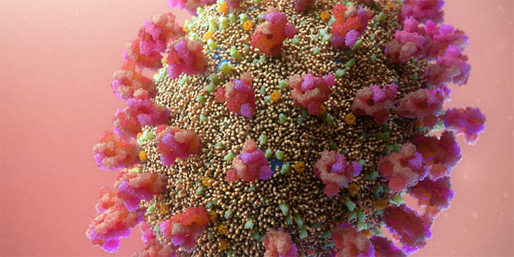 La inteligencia artificial es capaz de diagnosticar el coronavirus