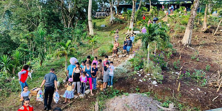 Producción de café sufrió la mitad de daños del sector agro