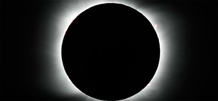 Miles observan en Chile el único eclipse solar total del año