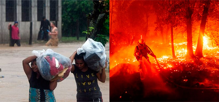 Incendios, sequías y huracanes, la destrucción que escondió la pandemia