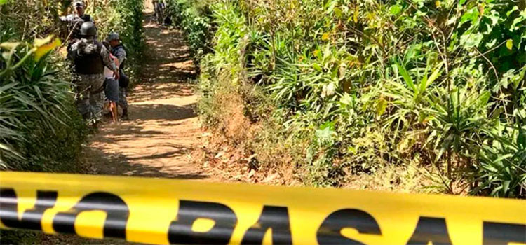 Nueve personas murieron de manera violenta en diferentes zonas de Honduras