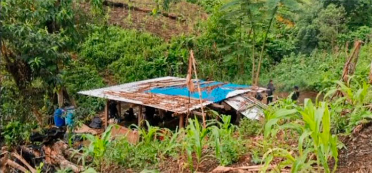 Desmantelan narcolaboratorio y plantación de cocaína en Colón