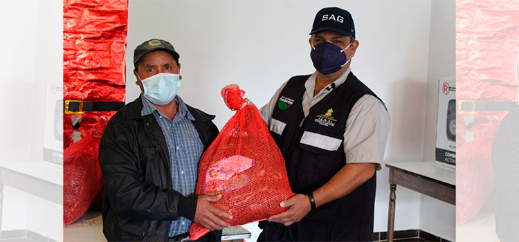 Productores de El Piligüin, reciben Bono de Solidaridad Productiva de fresa