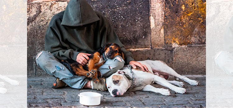 Le prenden fuego a hombre y a sus perros que viven en la calle