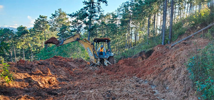 Sedecoas habilita 41 puntos cafetaleros dañados por las lluvias