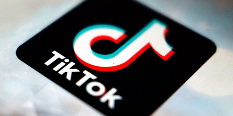 Un año en 60 seg: TikTok lista sus mejores videos de 2020