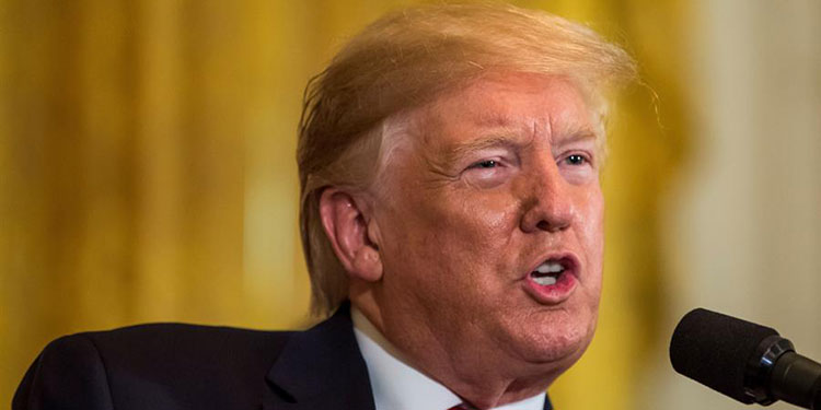 Trump respalda un intento de que el Supremo bloquee la victoria de Biden
