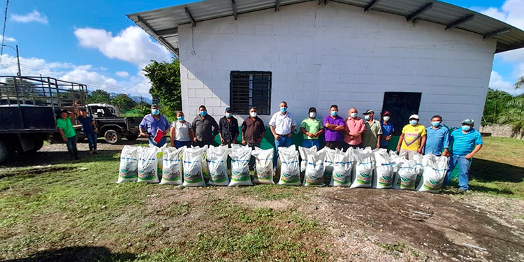 SAG entrega Bono de Solidaridad Productiva a 3,000 citricultores en el Valle del Aguan