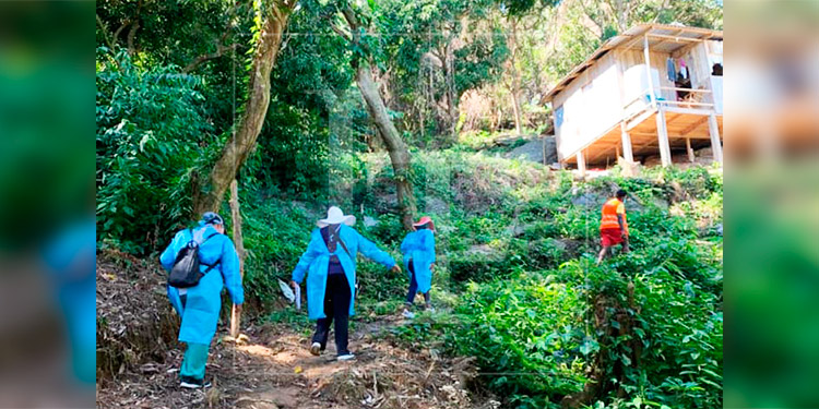 Salud reporta que se han visitado 50 mil casas por las brigadas en los últimos meses