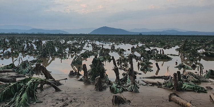 Comunidades reclaman de reconstrucción bordos margen derecha del río Humuya y Ulúa