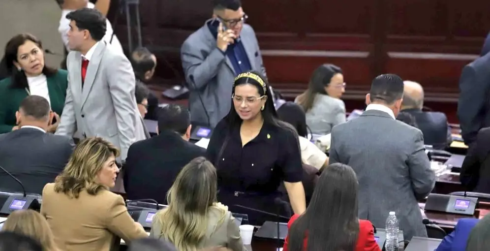 Isis Cuéllar reaparece y toma posesión de su curul en el nuevo Congreso Nacional